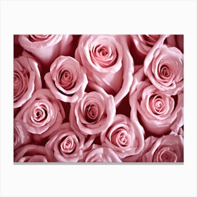 Pink Roses 4 Canvas Print