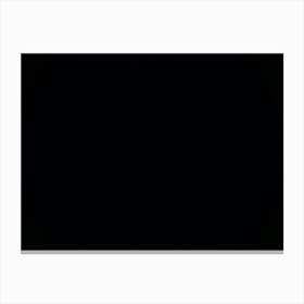 Black is everything Canvas Print