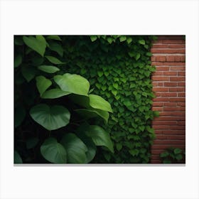 Green Vines Enveloping A Brick Wall Canvas Print