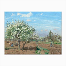 Orchard In Bloom, Louveciennes (1872), Camille Pissarro Canvas Print