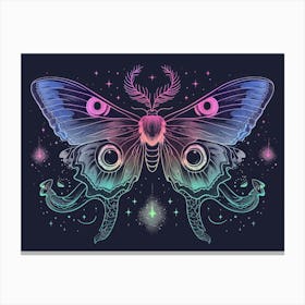 Moth illustration 17 Canvas Print