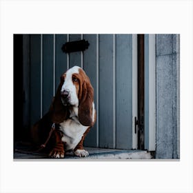 The Basset Hound Doorway Guard Dog Canvas Print