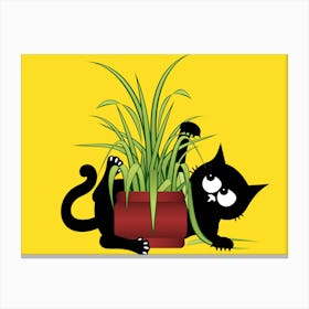 Black Cat In A Pot Canvas Print