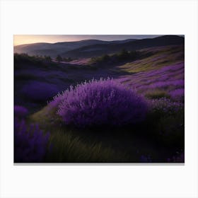 Heathland Stretching Across The Highland With Its Purple Flowers Canvas Print