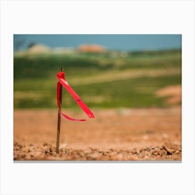 Metal Survey Peg With Red Flag On Construction Site 1 Canvas Print