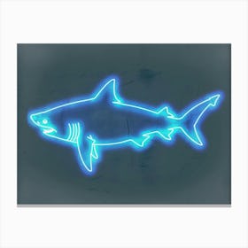 Neon Isistius Genus Shark 2 Canvas Print