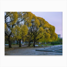 Autumn Trees In The Park Canvas Print