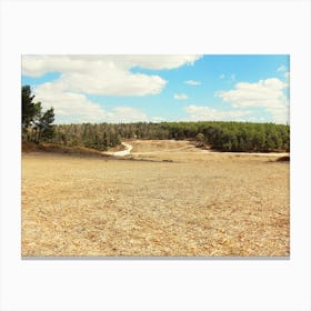 Rural Area On Summer Day Canvas Print