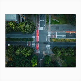 Streets of San Donato Milanese Italy Photography Print. Top View Road. Italy print. Aerial Photo Canvas Print