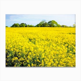 Field Of Yellow Canvas Print