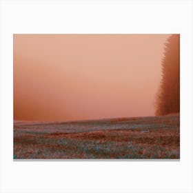 Foggy Morning In The Landscape Canvas Print