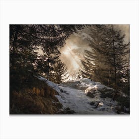 Winter Forest Trail Canvas Print