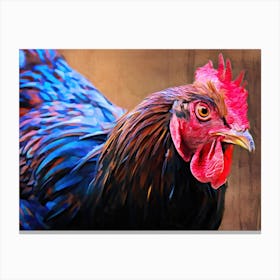 Australorp Chicken Canvas Print