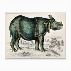 Rhinoceros, Oliver Goldsmith Canvas Print