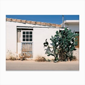 White house with Cactus // Ibiza Travel Photography Canvas Print