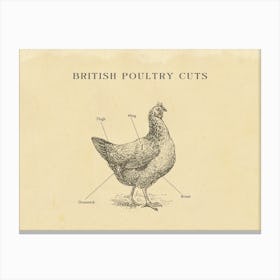 British Chicken Butcher Meat Cuts Chart Canvas Print