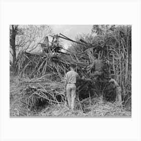 Wurtele Sugarcane Harvester Bogged Down And Out Of Temporary Running Condition, Mix, Louisiana By Russell Lee Canvas Print