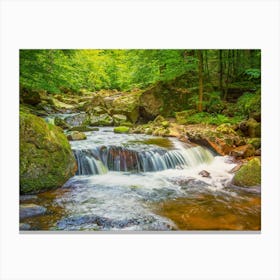 Waterfall In The Forest Canvas Print