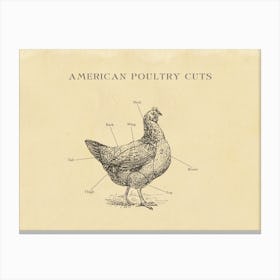 American Chicken Butcher Cuts Chart Canvas Print