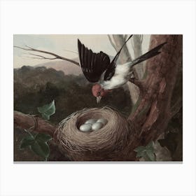 Bird In A Nest 2 Canvas Print