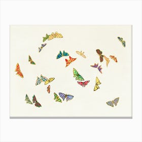 Vintage Butterfly, Cho Senshu (5) Canvas Print