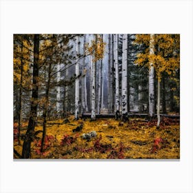 Birch Trees Forest Fall Fog Autumn Nature Landscape Canvas Print