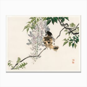 Sparrow On A Branch, Kōno Bairei Canvas Print