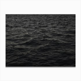 Obscurity Canvas Print