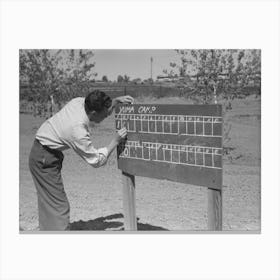 Scoreboard For Baseball Game At The Annual Field Day Of The Fsa (Farm Security Administration) Farmworkers Canvas Print