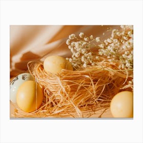 Easter Eggs In A Nest 7 Canvas Print