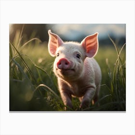 Cute Pig In The Grass Canvas Print