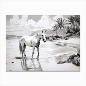 A Horse Oil Painting In Anse Source D Argent, Seychelles, Landscape 4 Canvas Print