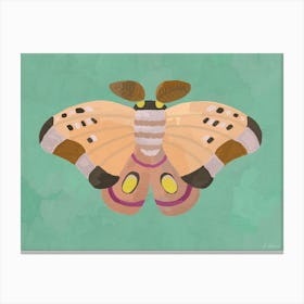 Pink Moth Canvas Print