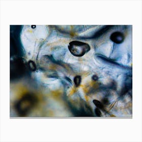 Liquid Under The Microscope Abstract Textures And Colors Canvas Print