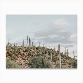 Gloomy Desert Sky Canvas Print