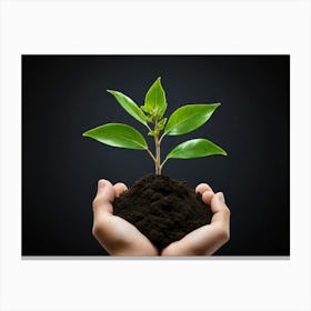 Tree In Hands Canvas Print