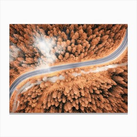Aerial View Of A Winding Road Through Pine Forest Canvas Print