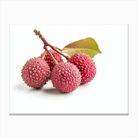 Lychee Fruit 3 Canvas Print