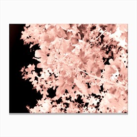 Autumnal Leaves Botanical Abstract Canvas Print