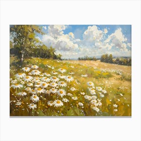 Daisies In The Meadow 2 Canvas Print