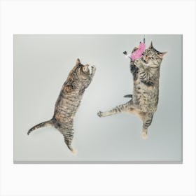The Jumping Cats Canvas Print
