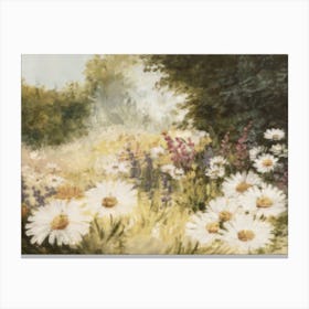 Daisies In The Meadow  Canvas Print