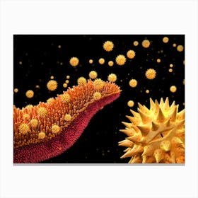 Pollen Grains Asteraceae 04 Canvas Print