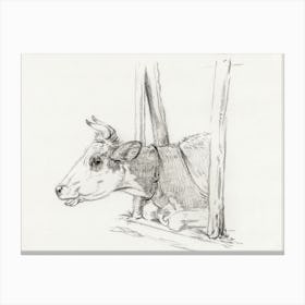 Head Of A Cow, Lying In A Stable, Jean Bernard Canvas Print