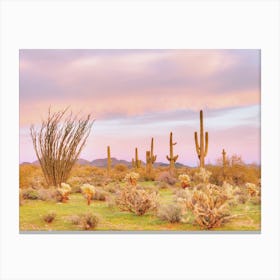 Pastel Desert Scenery Canvas Print