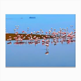 Pink Flamingos in Walvis Bay Namibia (Africa Series) Canvas Print