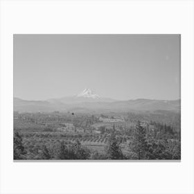 Orchards Of Hood River Valley, Oregon, With Mount Hood In The Background By Russell Lee Canvas Print