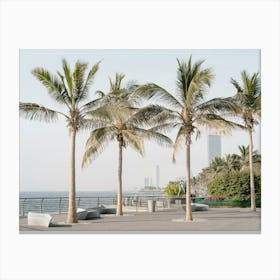 Palm Trees On The Beach In Jeddah Canvas Print