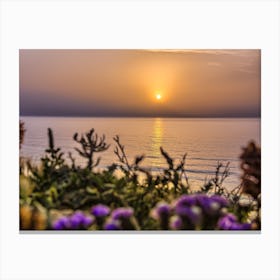 Serene Golden Sunset Over The Sea With The Wild Flowers 2 Canvas Print