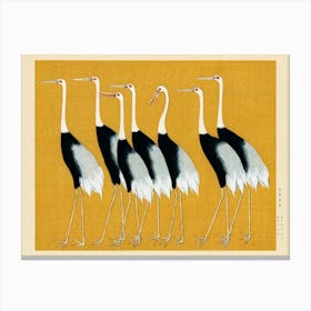 Yellow Cranes Canvas Print